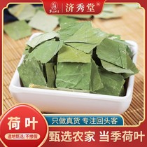 Lotus leaf tea natural dried lotus leaves fresh lotus leaves special grade 250g bubble tea Weishan Lake selected square slices sulfur-free complete