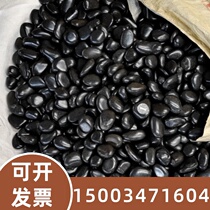 Guangdong cobblestone paving courtyard garden landscaping natural large and small stones Yuhua stone raw stone goose soft warm stone