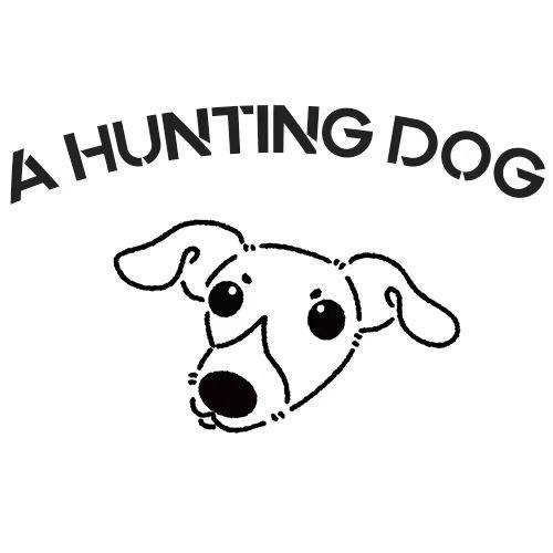 一只小猎犬