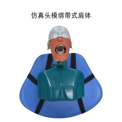 绑绳式教学口腔训练头模牙科仿真头模头颅种植Dental head mold