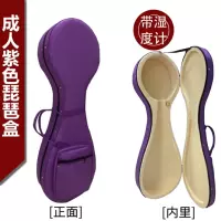 Сиреневый гигрометр