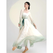 Classical dance dance clothes gauze dance clothes womens elegant practice clothes big swing skirt national style Chinese dance fairy performance clothes