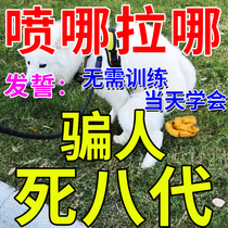 A complete collection of dog supplies for dogs to go to the toilet at fixed points training Bichons to defecate at fixed points and preventing dogs from pooping and urinating.