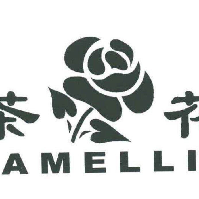 茶 花 严选进口商品的LOGO
