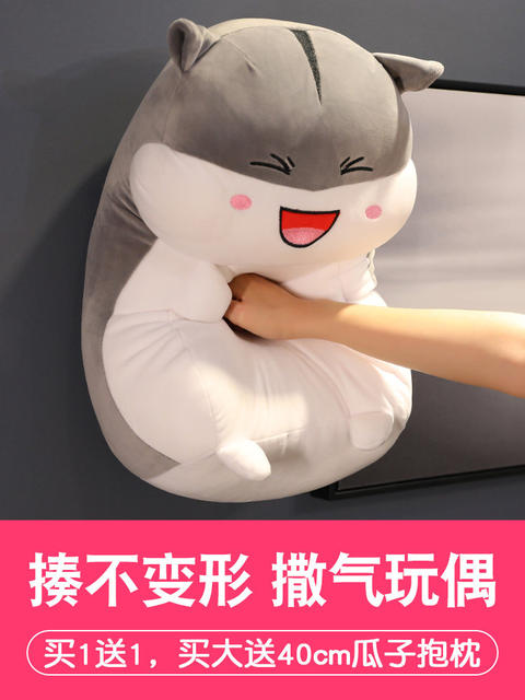 Hamster Doll Hand Warmer Pillow for Girls, Sleeping Doll Plush Toy, Birthday Gift for Girls and Boys