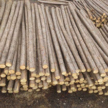 Pine wood pile river channel special piling wood fir wood 3 meters 4 meters 6 meters pine wood piles flood prevention wood piles