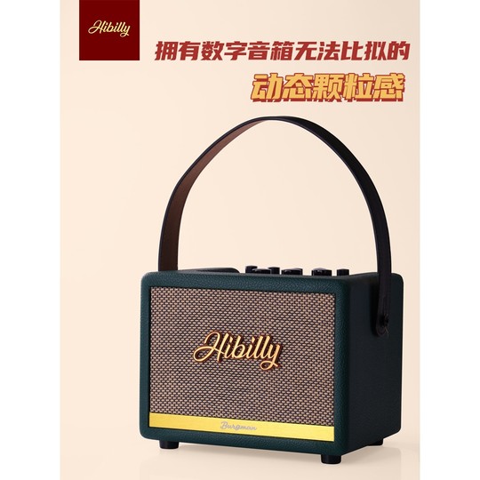 Hibilly Burgman Full-Range Transistor Electric Guitar Amplifier Effector Speaker