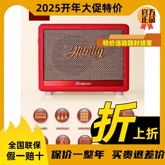 Hibilly Burgman Full-Range Transistor Electric Guitar Amplifier Effector Speaker