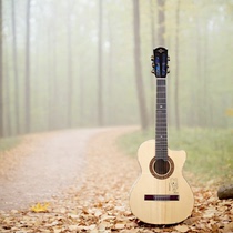 Martini classical guitar mini-pop beginners children female male students