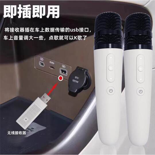 Adecuado para BYD Dolphin Seal 06 micrófono destructor Qin L Tang Song pro Han micrófono inalámbrico original para coche