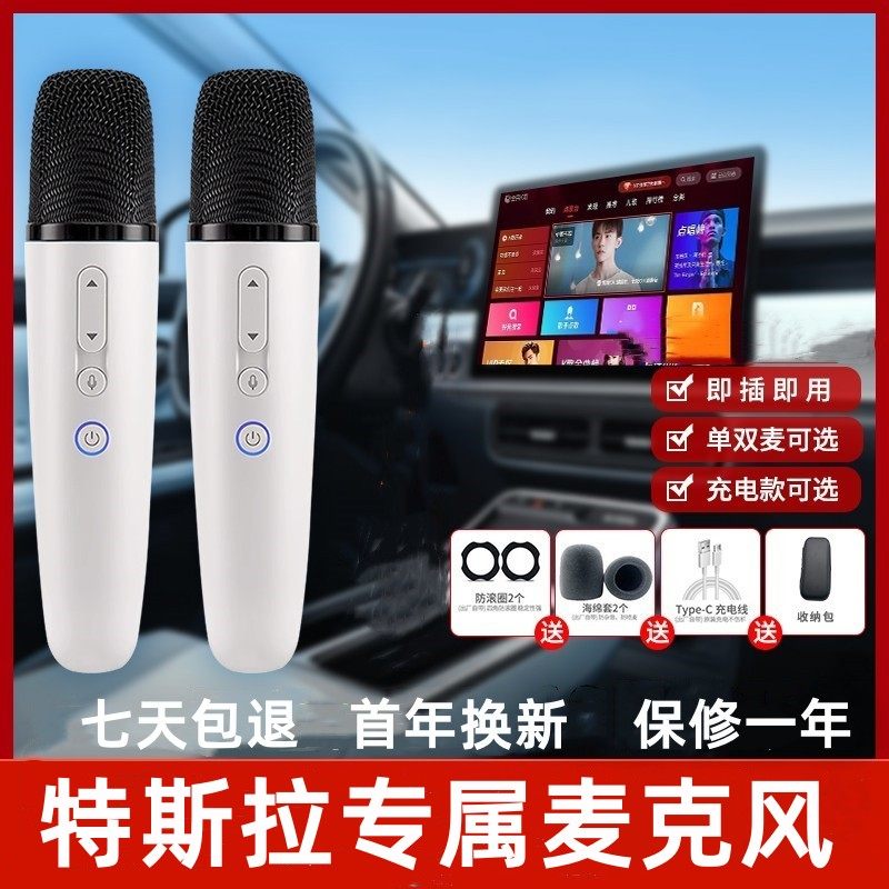 Подходит для автомобильного беспроводного микрофона Tesla Model 3/Model Y караоке с USB-подключением микрофона Thunderstone