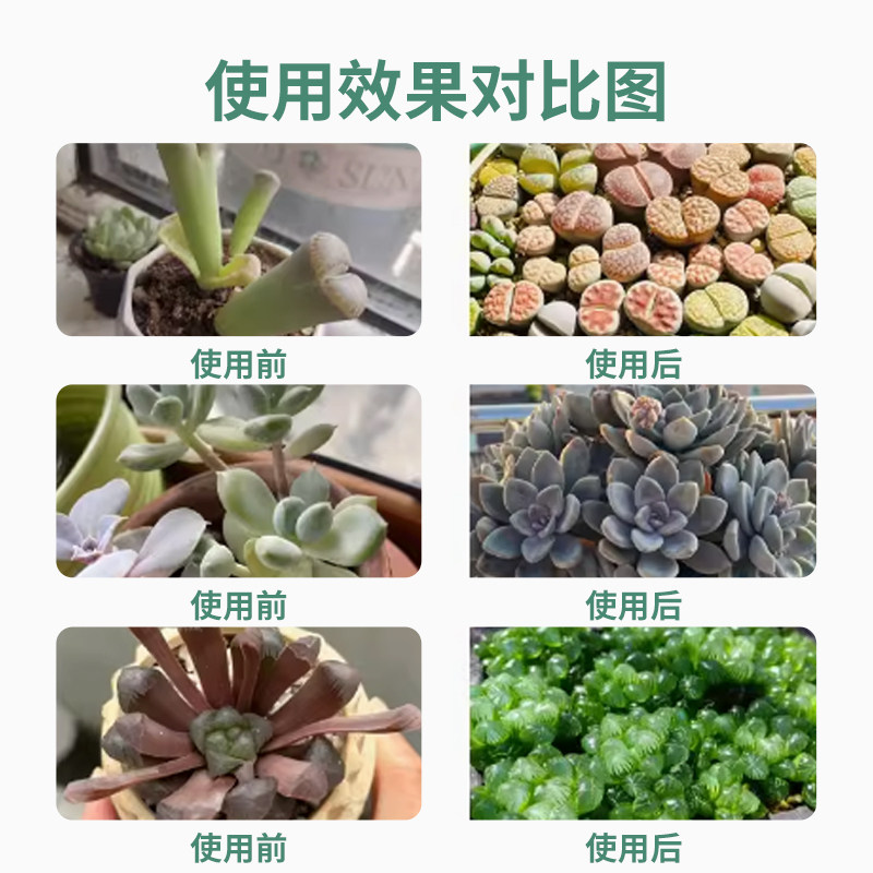 多肉矮胖素营养液,让你的植物“站得稳、长得壮”_护肤品_淘宝美妆网