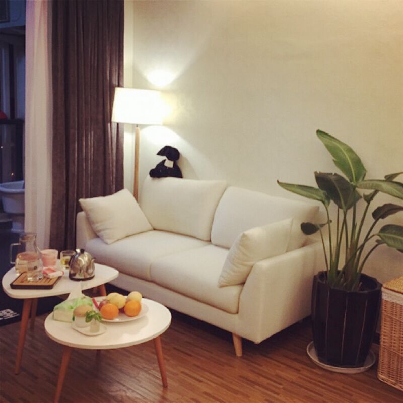 Net red money rental room Bedroom minimalist Sofa Small Family Type Economy Clothing Shop Duo duo Little sofa