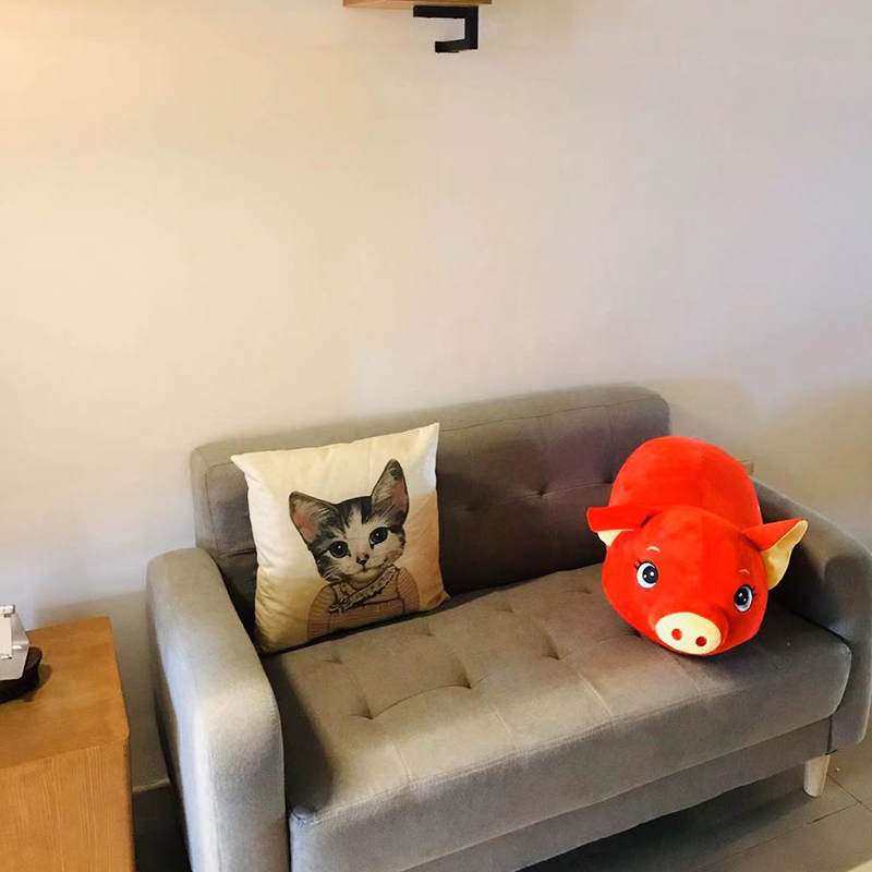 Double sofa Small family Type Nordic modern minimalist Living room Bedroom Easy trio Boutique Small sofa Clothing shop