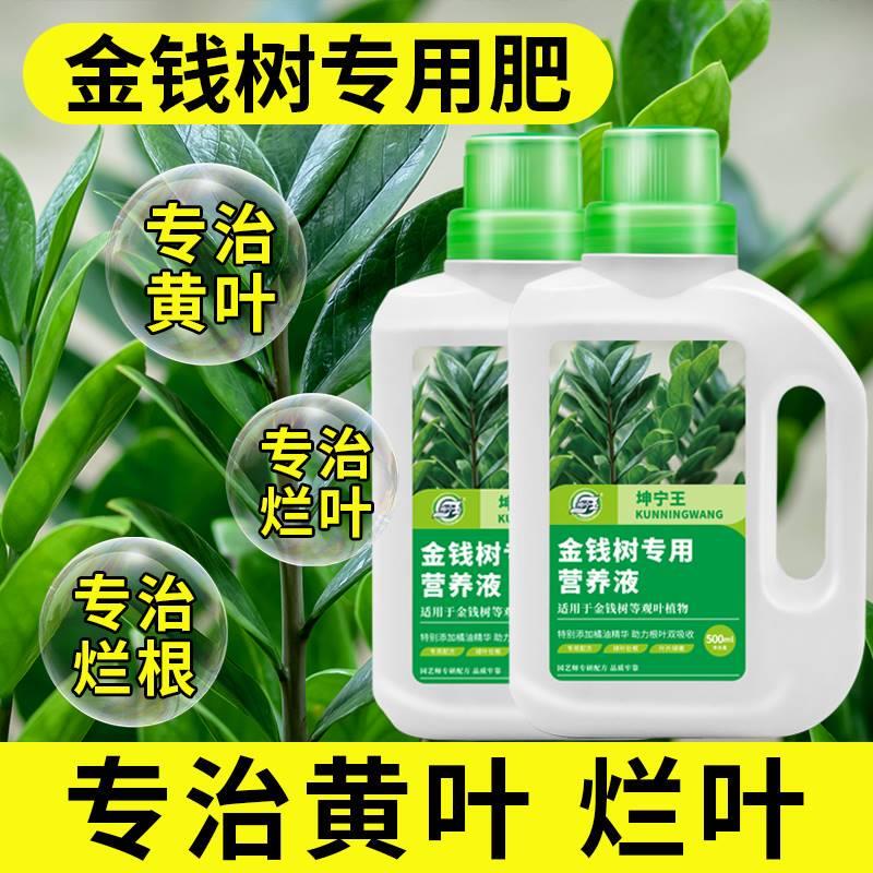 Special Fertilizer for Money Trees, Nutrient Solution for Plants, General-Purpose for Home Indoor Potted Plants, Flower Cultivation, Money Tree, Prevents Yellow Leaves