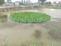 Ecological Floating Island Greening Cultivation Germline Restoration Bio River Water Plant Floating Bed Surface Floating Plate Artificial