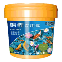 锦鲤鱼缸专用盐鱼盐净水盐观赏鱼冷水鱼池清洁净化剂池塘