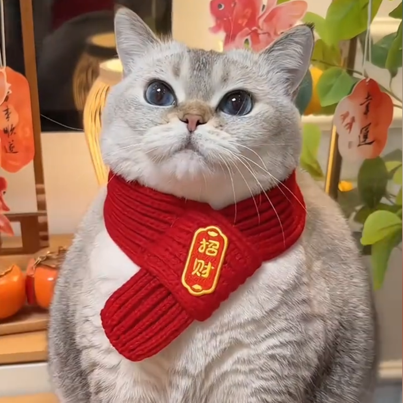 猫咪围脖新年围巾宠物小猫过年配饰口水巾装饰喜庆招财编织红色