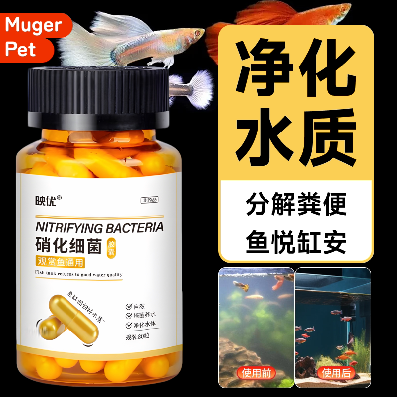 硝化细菌鱼缸专用消化活菌净水剂胶囊鱼用水质稳定剂颗粒水族分解