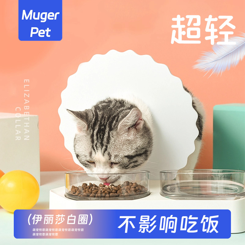 伊丽莎白圈猫咪伊利沙白圈头套项圈幼猫防舔绝育围脖不影响吃饭狗