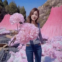 Internet celebrity volcano pink volcano romantic pink volcano pink smoke oil pink smoke Internet celebrity check in