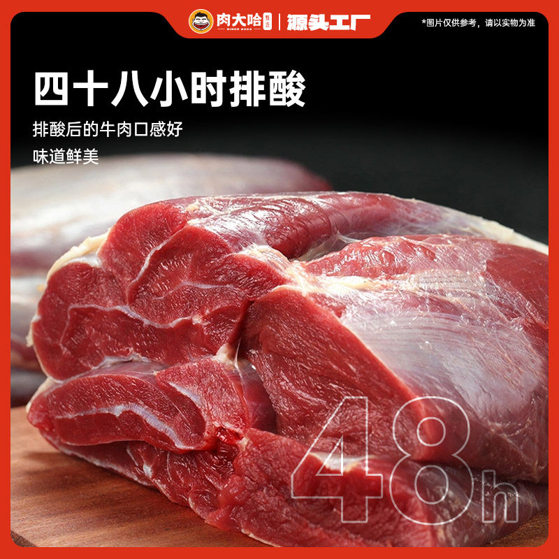 Meat Daha Traditional Sauce Beef Ready-To-Eat Braised Beef Cooked Food Instant Cold Beef Snacks Beef Tendon Meat for Meals