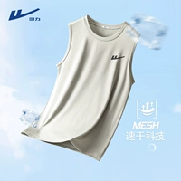 Светло -серый (h обратно принудительно глубоко серая грудь)