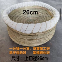 26 см [масляная трава] гнездо [1]