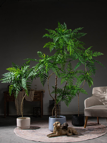 High-End Chinese-Style Jacaranda Artificial Green Plant Indoor Atmosphere-Enhancing Fake Flower Tree Potted Floor-Standing Biomimetic Decorative Ornament