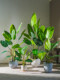 Traveler's Banana Artificial Green Plant, High-End Living Room and Office Fake Tree Ornament, Luxury Bird of Paradise Decorative Potted Plant