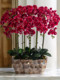 High-End Light Luxury Oversized Artificial Flower Phalaenopsis Orchid for Hotel Lobby Decoration, Plastic Fake Flower Arrangement for Living Room Display