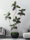 Simulated Green Plant Black Rubber Tree High-End Light Luxury Floor-Standing Ornament Advanced Artificial Tree Indoor and Outdoor Decoration