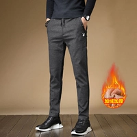 5616 Серый [Добавить бархат]