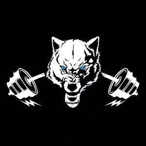 撸铁狼WorkoutWolf工作室企业店