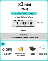 X2mini+Установка программного обеспечения+5t материал+педаль