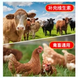 Масло печени трески для ветеринарной жидко