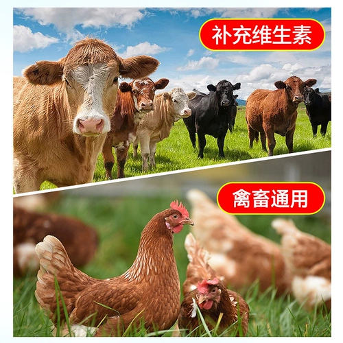 Масло печени трески для ветеринарной жидко