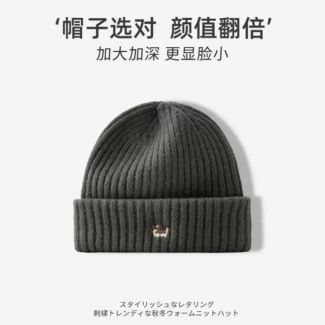 Winter New Cute Puppy Embroidery Warm Knitted Beanie Hat for Women, Makes the Face Look Smaller, Versatile, Suitable for Large Head Sizes