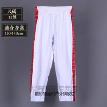 Peng Binghao Wrestling Suit Chinese Style Wrestling Suit Red Blue Traditional Style Wrestling Clothes Chinese Style Wrestling