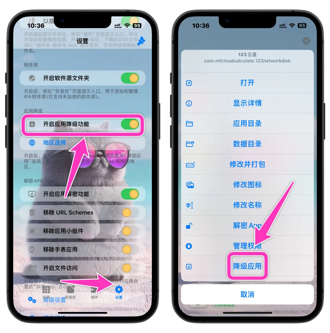 图片[14]-TrollStore巨魔魔改版-很强-ipa资源站