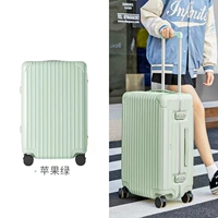 Экспорт Apple Green (5/5 Open) экспорт в внешнюю торговлю Японии