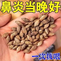 Rhinitis spray ointment is specially used for allergic medication sinusitis special nail hypertrophy effect nasal congestion and nasal congestion artifact nemesis