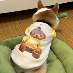 Corgi Shiba Inu Dachshund Dog Clothes Autumn and Winter Fleece-Lined with Leash Attachment for Medium and Large Dogs Teddy 2024 New Sweatshirt