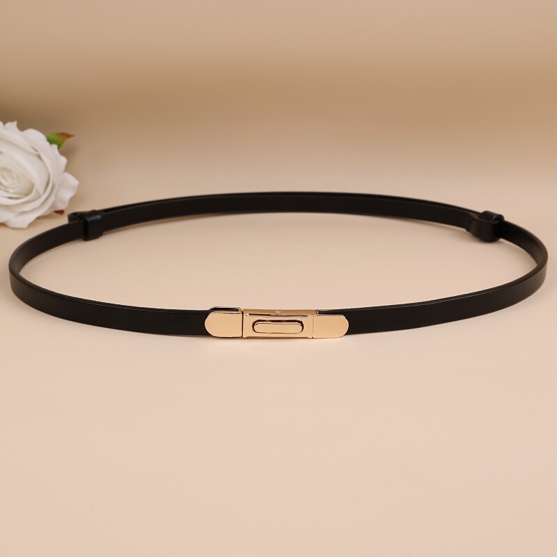 Women's Fashion Belt Dress, Waist-Cinching Sweater, Suit, Shirt, Paired with Thin Belt, Women's Decorative Versatile Small Belt