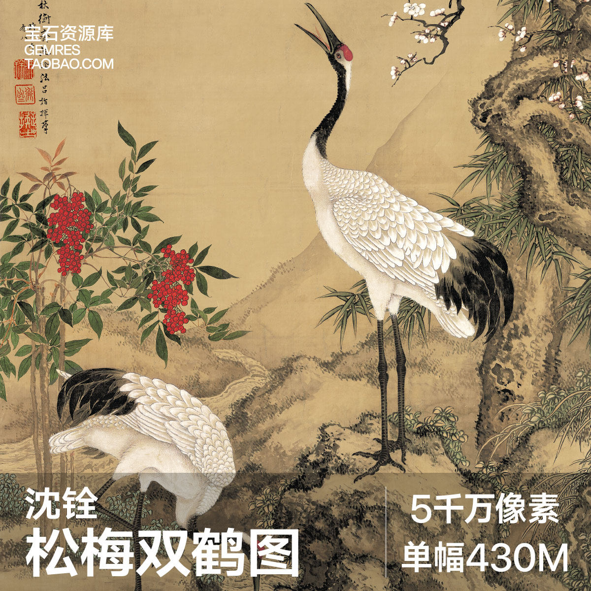 O1CN01oFmMVK2MmW8SnehrF_!!