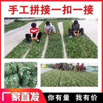 Pure green camouflage net anti-aerial photography thickened camouflage net shade net shading net outdoor sun protection net anti-counterfeiting net