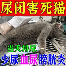 Urinary system medicine for cats cats and dogs cant urinate urinary tract urethritis frequent urination closed urination no urinary tract infection medicine