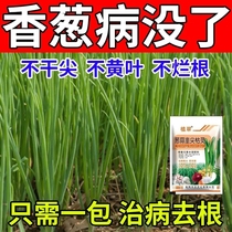 Green onion chive special medicine disease green onion garlic seedling yellow leaf withered leaf spot root rot gray mold dry tip yellow leaf sterilization