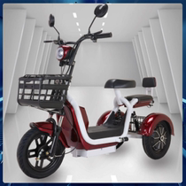 Electric tricycle for adults home ladies small mini elderly walking leisure battery car grocery shopping cart pet