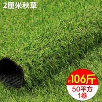 Плотно утолщенная осенняя трава толщиной 2 см весит около 2,12 фунта за квадрат, цена за квадратный метр.